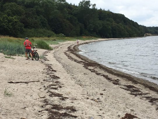 Strand heißt schieben Mann schiebt Rad am Strand