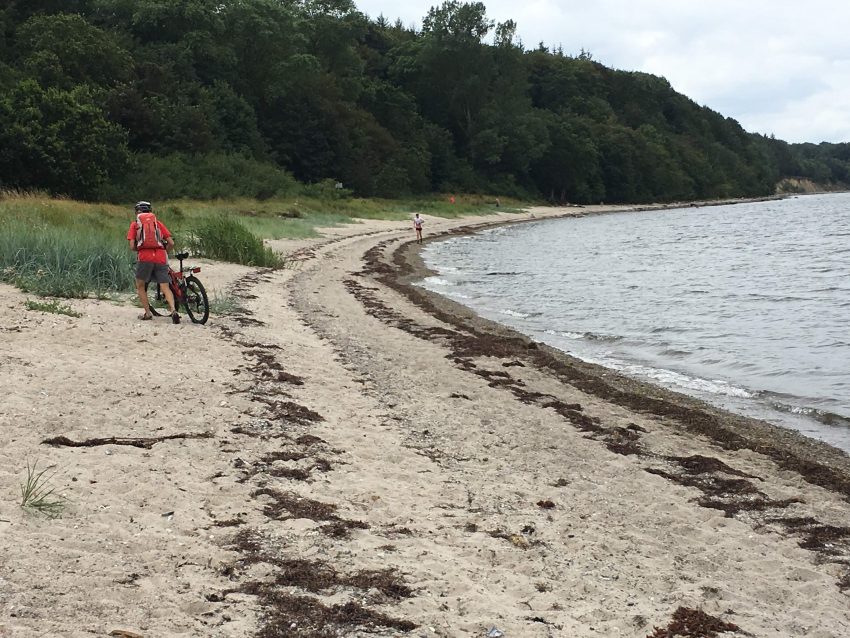 Strand heißt schieben Mann schiebt Rad am Strand