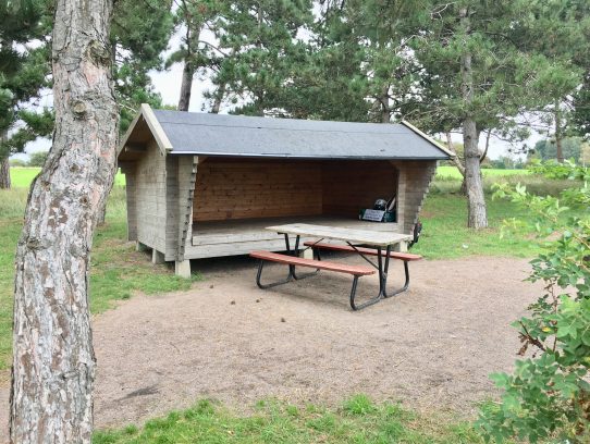 IMG_7100 Shelter
