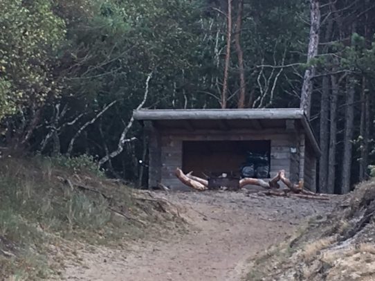 IMG_7904 Shelter vor Wald
